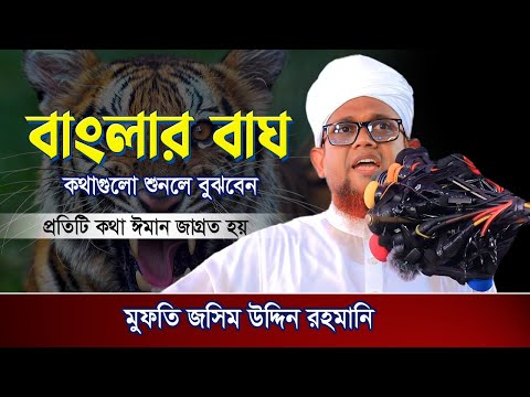 বাংলার বাঘ প্রতিটি কথা ঈমান বাড়ে ২০২৪ | Jasim Uddin Rahmani 2024 | জসিম উদ্দিন রহমানি ২০২৪