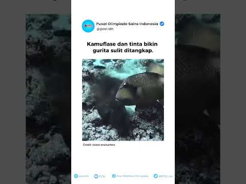 penjelasan cek komen ya! #science #education #funfacts #facts #faktaunik #info #ocean #beranda