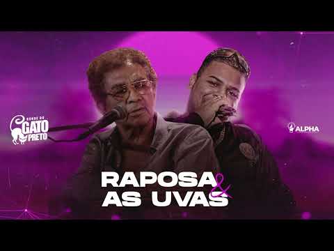 BONDE DO GATO PRETO - A RAPOSA E AS UVAS ( REGINALDO ROSSI )