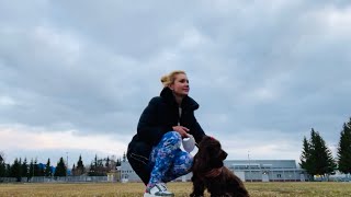 видео