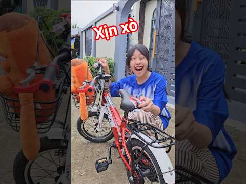 Chiếc xe đạp cá rô rỉa