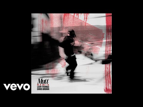 Leon Thomas, Chris Brown - MUTT (CB REMIX / Audio)