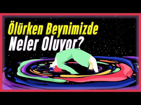 Ölüm Anında Beynimizde Neler Olduğu Keşfedildi!