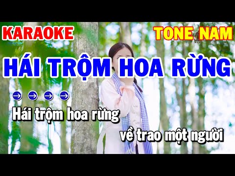 Karaoke Hái Trộm Hoa Rừng Tone Nam | Nhạc Sống Rumba Beat Hay 2022 | Karaoke Thanh Hải