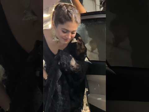 Billi Billi #shorts #youtubeshorts #billibilli #trending
