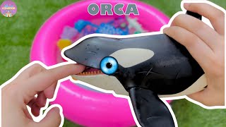 Learn Animal Names, Animal toys, Animals for kids, Sea Animals, Animals for toddlers,Animal for baby