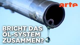 Dank der Krise weg vom Erdöl? | ARTE Hintergrund