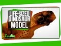 Understanding Dinosaurs and Snail Insulin