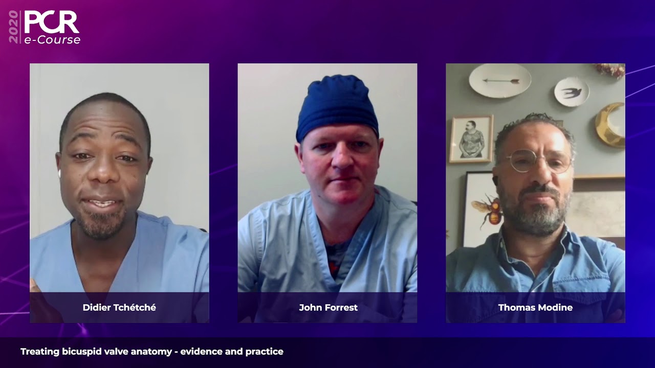 Treating bicuspid valve