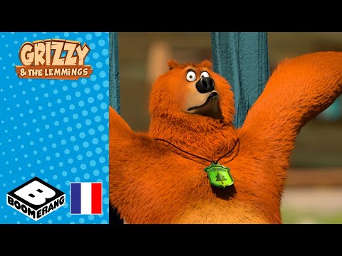 Un problème de taille | Compilation Grizzy et les Lemmings | Dessin animé | @boomerangFR