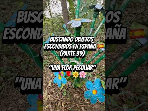 Nunca habia visto una flor asi! (parte 39 en España)