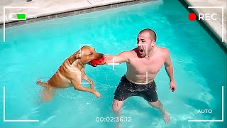 15 Pets That Ate Their Family