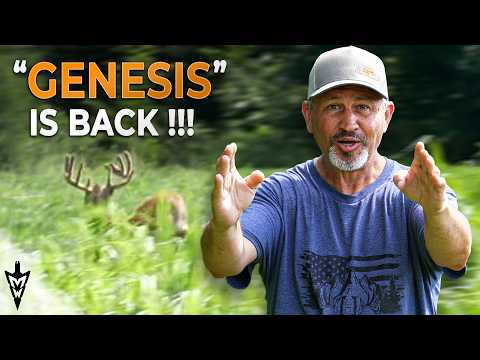 Owen's Giant Surprise, Property Update On The Buck 40 With Nolan