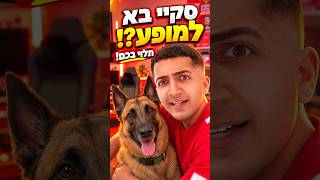 סקיי בא למופע בחנוכה.. תלוי בכם ! 😱🐶