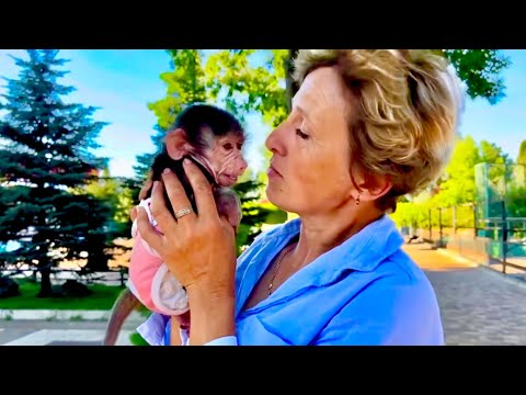 С грустью и любовью мы вспоминаем о нашей Лялечке, прошло 40 дней! Светлая тебе память, дорогая!