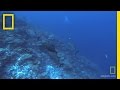 Diving Experience at Oak Island