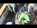 Understanding Bluefin Tuna and Ocean Conservation
