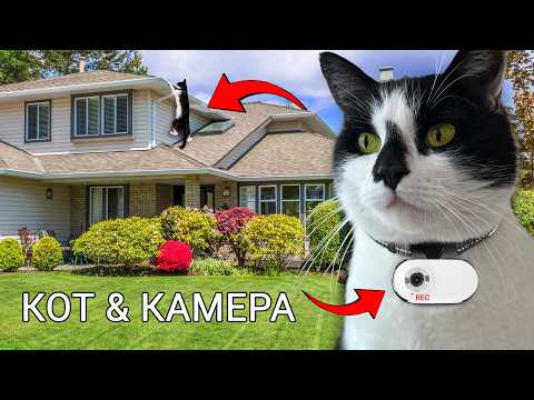 РЕАЛЬНЫЙ ДЕНЬ КОТА! КОТ ГУЛЯЕТ С КАМЕРОЙ 24 ЧАСА ЧЕЛЛЕНДЖ