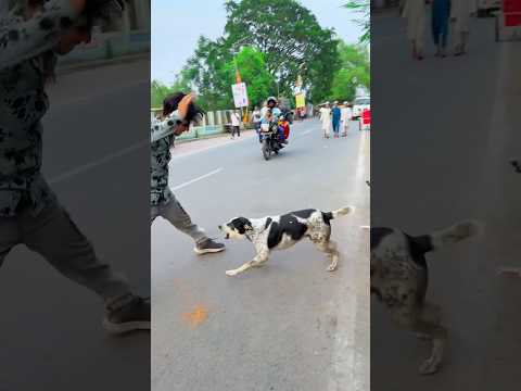 Dog🐶friendship speaks louder than word😥 #viraljump #talentedboystunt #dogapparel #funny