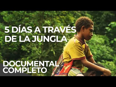 Caminos