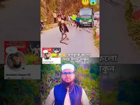 বেশি পাকনামি করলে যা হয় amdadul Haque #duet #shortsviral #video #shorts #snake