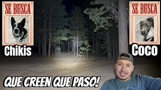 Se Buscan! Se Escaparon! 