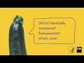 Understanding GMOs and Bioengineering