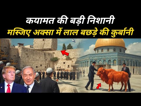 मस्जिए अक्सा में लाल बछड़े की कुर्बानी | Red Heifer Update 2025 | The Worship