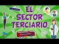 Sectores Económicos y Comercio