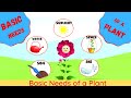 Plant Growth and Nutrient Needs