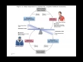 Exploring Homeostasis and Feedback Mechanisms in Human Anatomy