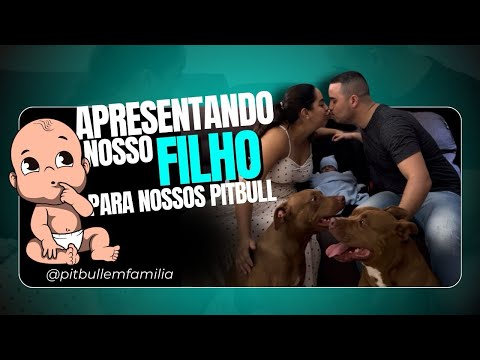 Apresentando nosso filho para nossos pitbulls 🐶👶🏻💙 !!! #pitbull #filho  #youtube