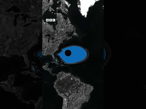 Kıyısı olmayan deniz: Sargasso Denizi