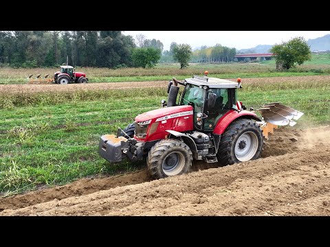 4X MASSEY FERGUSON | Moro Aratri | Amazone | Gaspardo | PARACCHINO FARM