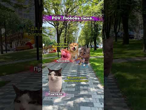 Мемы которые помогают котикам 😼