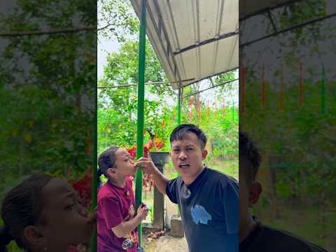 Ayuda mengehentikan hujan