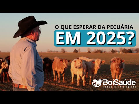 O QUE ESPERAR DA PECUÁRIA EM 2025?