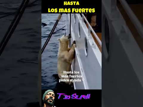 Hasta los mรกs fuertes piden ayuda #consejos #consistency #shorts