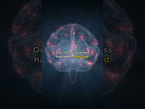 We've been disconnected 😯