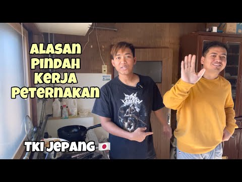 ALASAN BAJIDOT PINDAH KERJA KE PETERNAKAN‼️ dulu di Laut nori #tkijapan #farming #cow #tkijepang