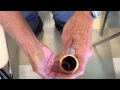 Understanding the Video Tutorial