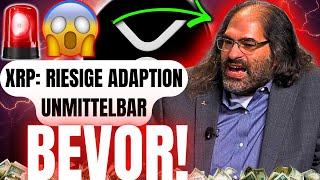 🛑XRP! Ripple CTO haut auf den PUTZ! Wir werden die Welt erobern!