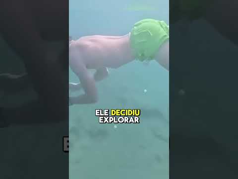 Veja desfecho dessa história 😳 #shots