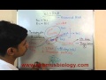 16s rRNA Functions and Applications