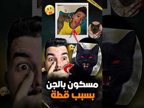 مسكون بالجن 3 سنوات وهو كايبكي😳والقطة ديالو سبب في…🐈⬛🥺