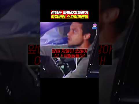 선 넘는 파파라치들에 빡쳐버린 스파이더맨들ㄷㄷ