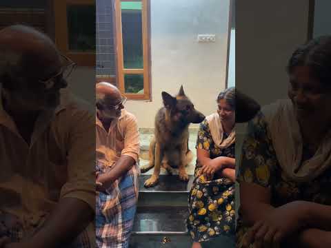 അങ്ങനെ അതിനും ഒരു തീരുമാനം ആയി 😂❤️| Leo😂❤️ #adorabledog #petlove #pets