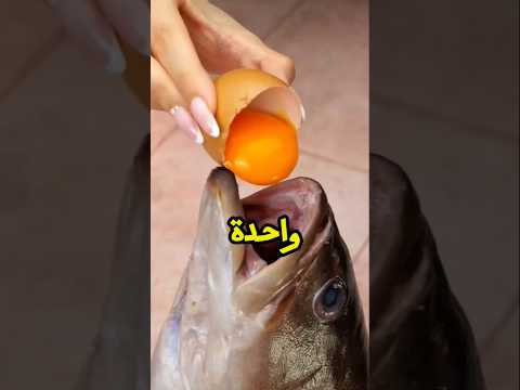اختراعات بسيطه يمكن عملها في المنزل | مبعرفش ارسم #قصص #قصص_رون #اسراء_نبيل #ثوانى_مع_لوزا #shorts