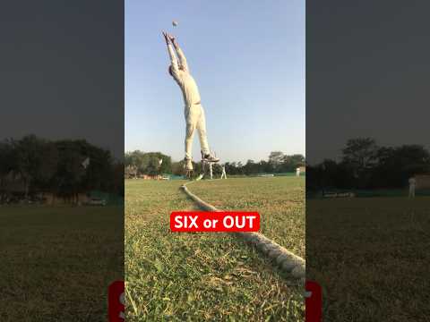Six or out🤔🙏🏻  #shorts #cricket #cricketshorts #cricketvideo #cricketlover #catching #catch