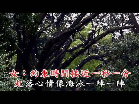 羅時豐 林淑容 陪伴妳到老~KTV  抱歉筆誤詞曲沒有 王峰參與喔